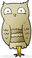 cartoon owl