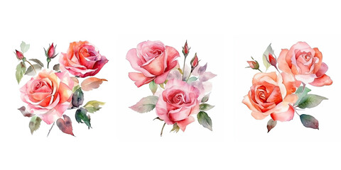 Obraz na płótnie Canvas Watercolor rose flower on white background. Generative Ai