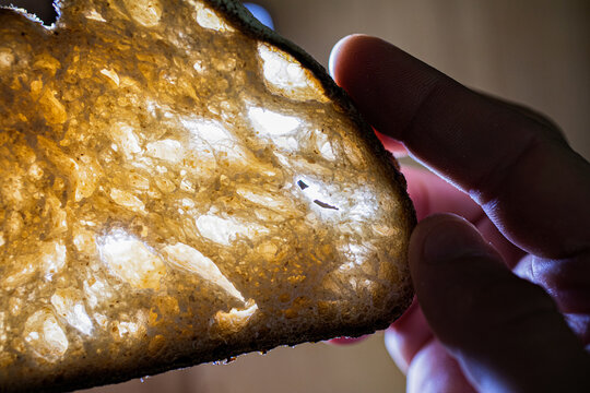 Slice of homemade bread 