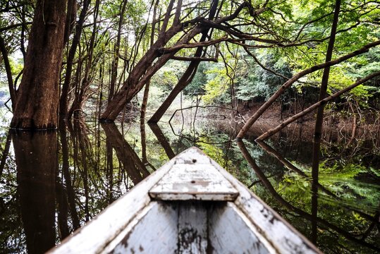 Wood canoe in the middle of the flooded amazon rainforest