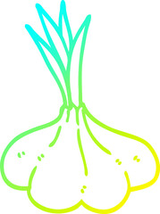 cold gradient line drawing cartoon garlic bulb