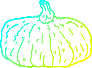 cold gradient line drawing cartoon squash