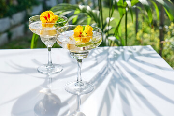 Iced lemonade with edible nasturtium flowers, lime and mint leaves. Refreshing summer drink. Healthy organic summer soda drink. Detox water. Diet unalcolic coctail.