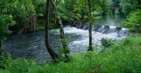 Panoramic view of the fast falling waters of the Sor river in the recreational area of ​​Ponte Segade, La Coruña, surrounded by green forest in summer 2021, Spain.