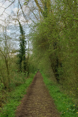 Belgium, Harchies - April 15, 2023 : beautiful view of the Harchies marshes
