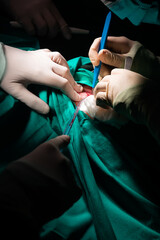 Close-up of a surgeon's hands making an incision in a patient's skin.