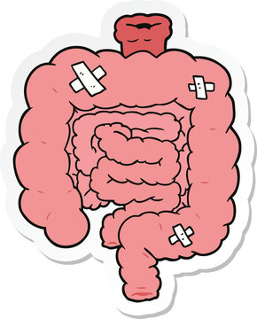 sticker of a cartoon repaired intestines