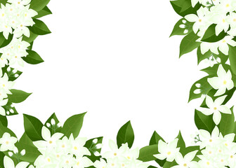 Frame of jasmine flowers on white background 