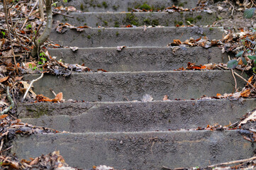 old stone stairs with moss and fallen leaves, closeup of photo