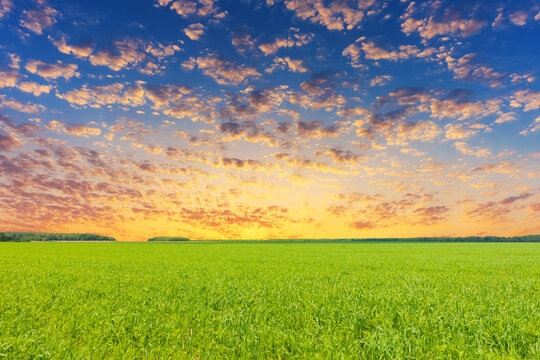 Photo of a idylic landscape, colorful sky and fresh, green grass.. © Gray wall studio