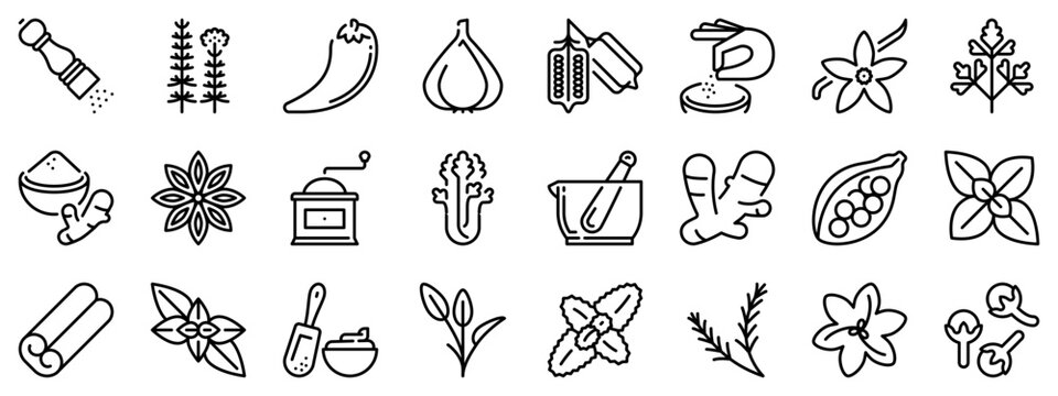 Line icons about spices and herbs on transparent background with editable stroke.