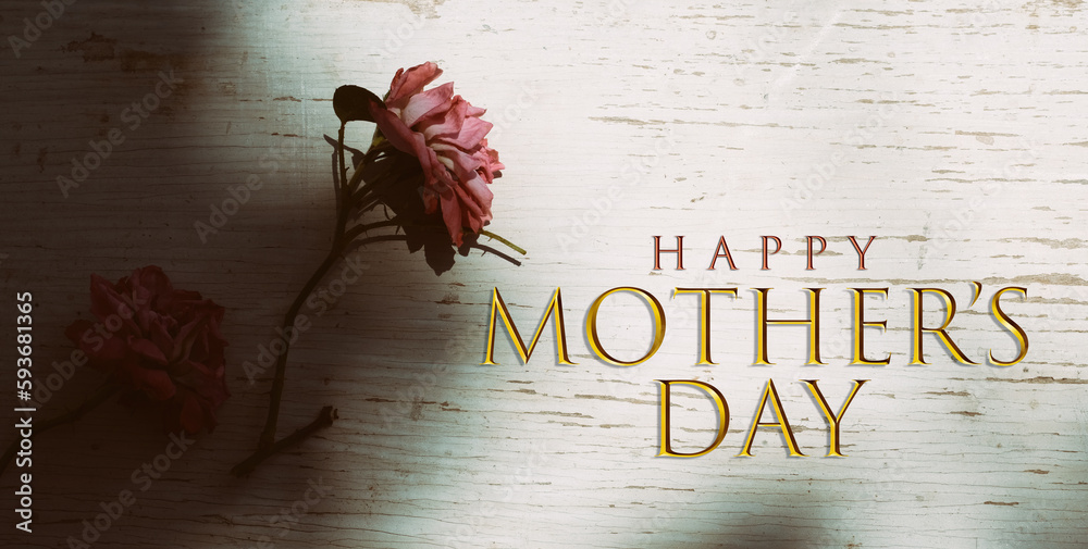Poster happy mothers day vintage nostalgia background in rustic wood with rose style. - Posters