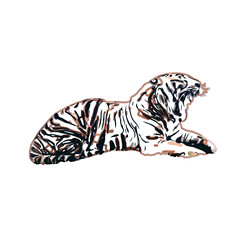 tiger color sketch with transparent background