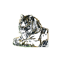 tiger color sketch with transparent background