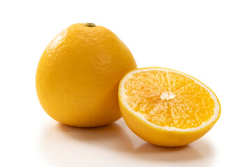 Obraz na płótnie Canvas 柑橘類のフルーツ、美生柑
