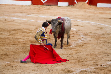 Torero en traje de luces haciendo faena