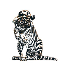 tiger color sketch with transparent background