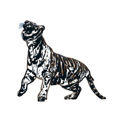 tiger color sketch with transparent background