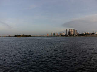 city harbour bridge and skyline