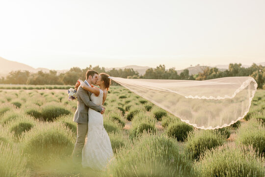 Kissing in a Lavender Field