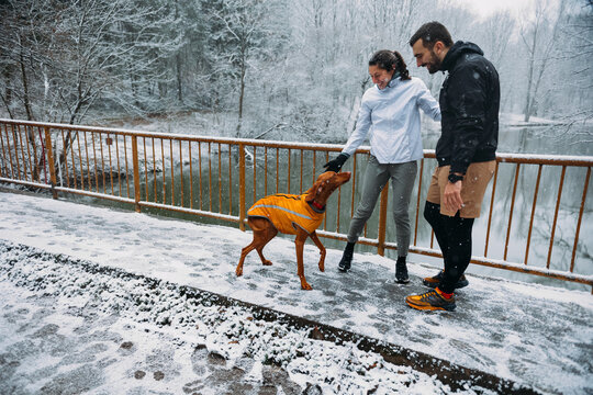 Love Couple with Dog in Park