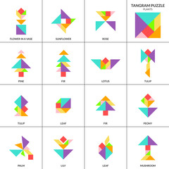 Tangram puzzle. Vector set with various plants.
