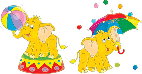 Funny baby elephant performing tricks with a big striped ball and a colorful umbrella with dropping small balls in a merry circus show, vector cartoon illustration isolated on a white background