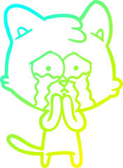 cold gradient line drawing cartoon cat