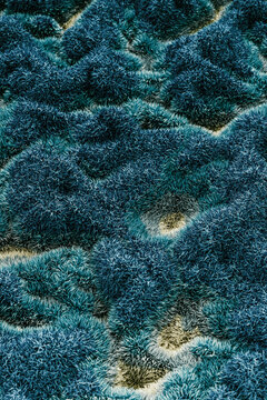 Blue Grass Background