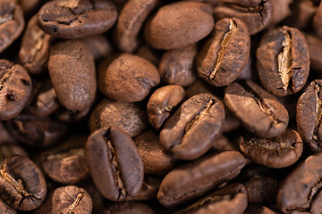 Professional barista preparing coffee. Young woman making coffee. Alternative ways of brewing coffee. Coffee shop concept