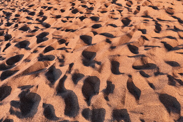 Sand with footprints illuminated by sunlight on beach .