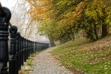 Cobblestone footpath along a canal in autumn lined with colourful trees shedding leaves