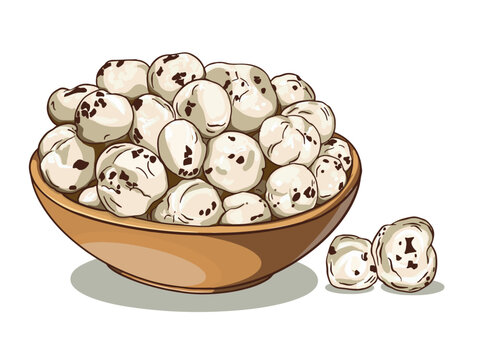 Makhana vector Fox nut lotus vector illustration. Makhana, also called as Lotus Seeds or Fox Nuts are popular dry snacks from India, served in a bowl isolated over white background.