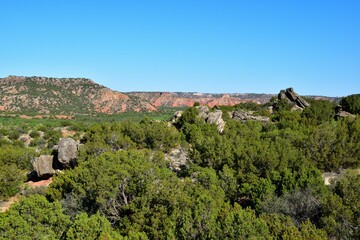 Fototapeta na wymiar Landscape of Palo Duro Canyon State Park with lush green vegetation and rock formations in Texas