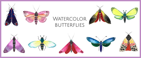 Butterflies illustration. Watercolor butterflies, moths, insects. Set of 9 illustrations