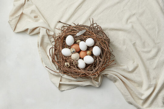 Quail and chicken eggs in nest on crumpled cloth.