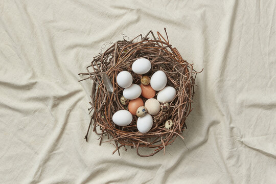 Chicken and quail eggs in natural woven nest.