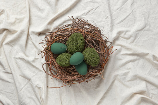 Green moss and painted Easter eggs in nest.