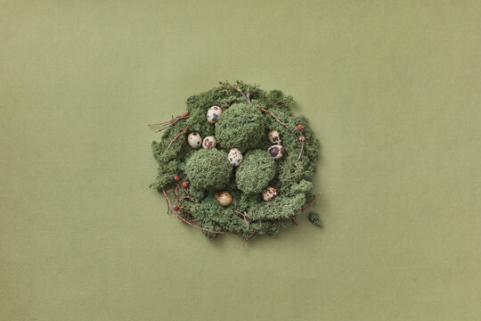 Grassy Easter eggs in moss nest with quail eggs.