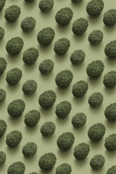Pattern of natural green moss Easter eggs.