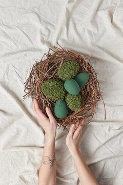 Moss and dyed Easter eggs in nest held by woman.