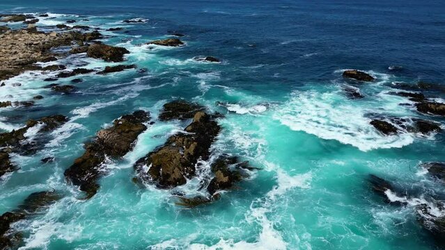 Algarrobo