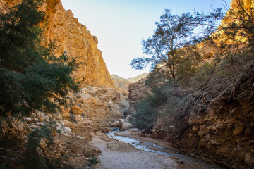 Breathtaking View of the Majestic Mountains in Israel on a Clear Sunny Day