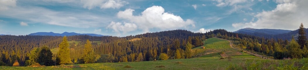 Fototapeta premium Summer panorama view on mountainous green pasture meadow (Slavske village, Carpathian Mts, Ukraine).