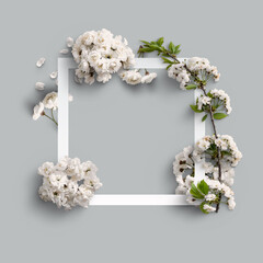 gruppo di fiori di ciliegio sullo sfondo colorato ,con petali  e foglie