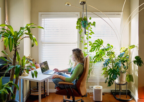 Working at home houseplant