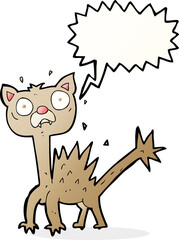 cartoon scared cat with speech bubble