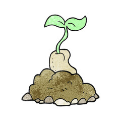 texture cartoon sprouting seed