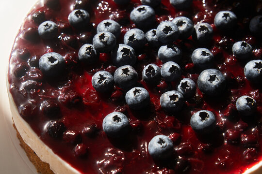 Blueberry cake on grey background
