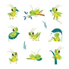 Cute funny green grasshoppers set. Funny insect jumping, sleeping and eating cartoon vector illustration